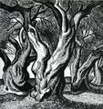 A. Tassos, Olive trees, 1938, woodcut,  28 x 26 cm